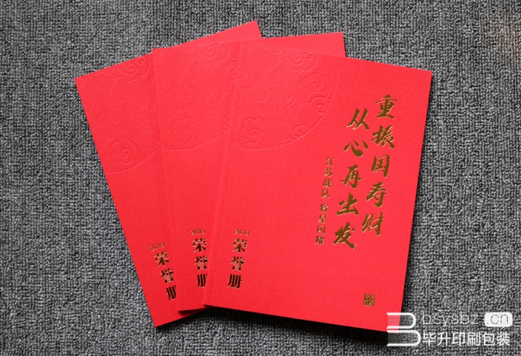 中國人壽企業榮譽手冊、藝術紙畫冊印刷